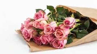Pink Roses, 12 Stems WRAPPED