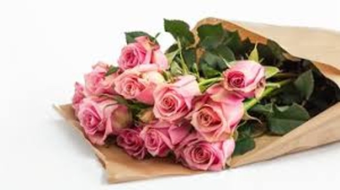 Pink Roses, 12 Stems WRAPPED