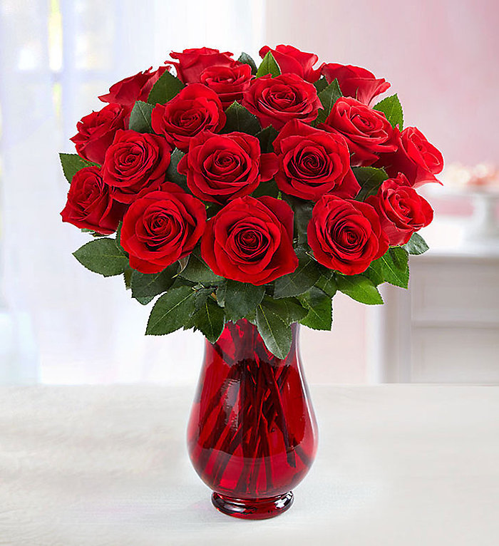 Red Roses, 18 Stems WRAPPED