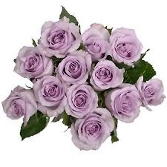 Lavender Roses, 12 Stems WRAPPED