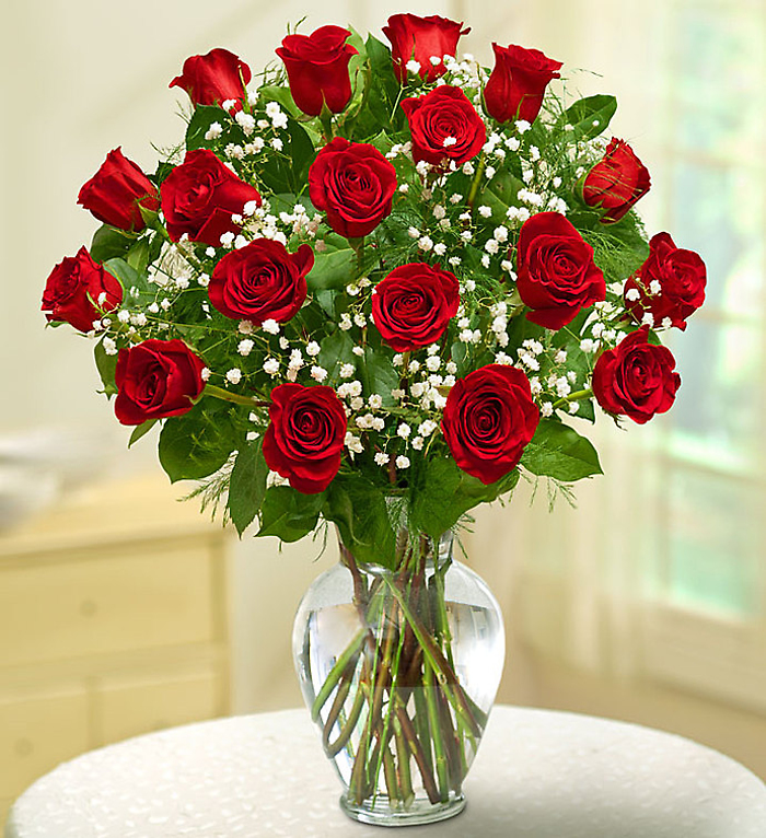 Rose Elegance&trade; Premium Long Stem Red Roses