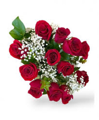 Red Roses, 12 Stems WRAPPED