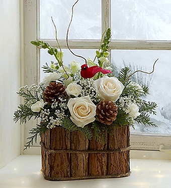 Winter Songbird&trade;