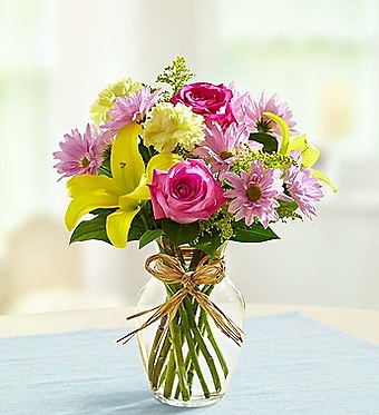 Fields of Europe for Spring