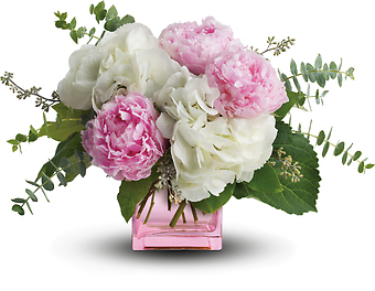 Pretty in Peony-6 Stems