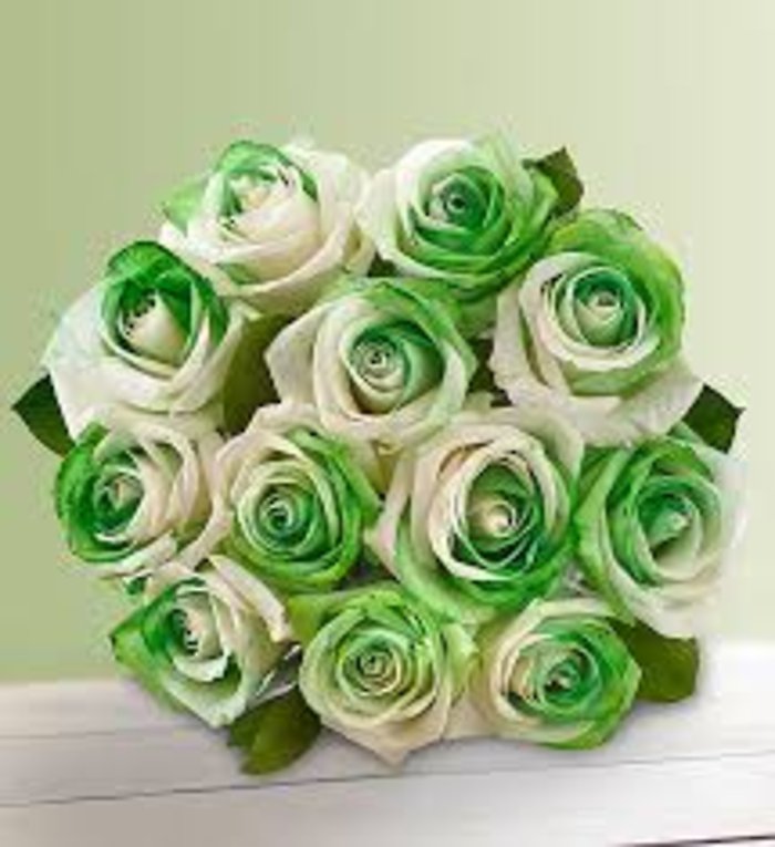 Blended Roses-Green and White