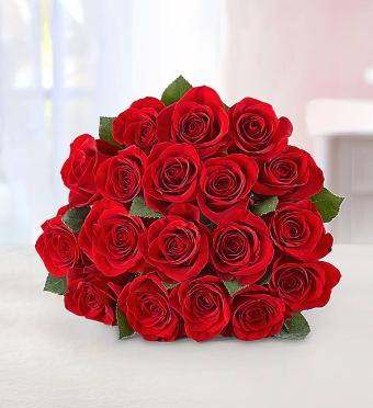Red Roses, 18 Stems WRAPPED