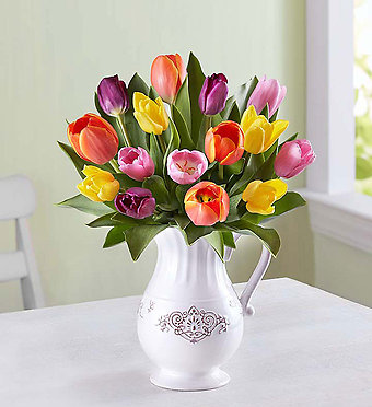 Fresh Spring Tulip Pitcher