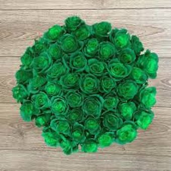 St Patrick\'s Day Green Roses-Wrapped  One Dozen