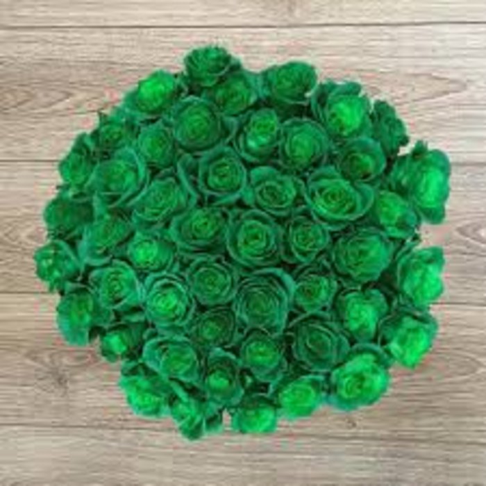 St Patrick\'s Day Green Roses-Wrapped  One Dozen
