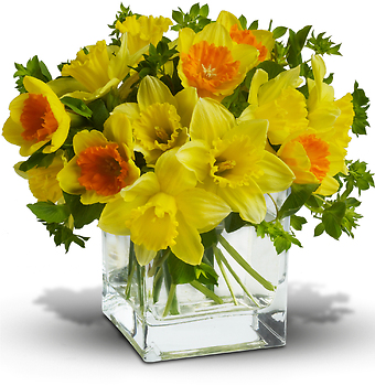 Spring