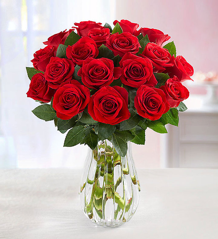 Red Roses, 18 Stems WRAPPED