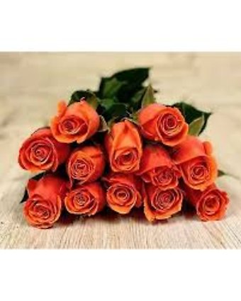 Orange Roses, 12 Stems WRAPPED