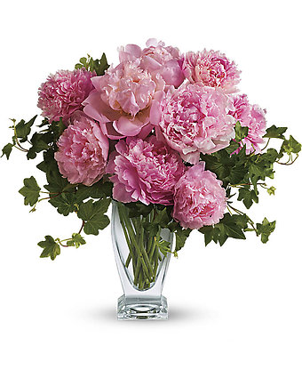 Perfect Peonies-12 Stems