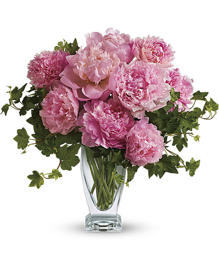 Perfect Peonies-12 Stems